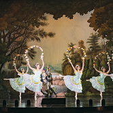 Plants: image 10 0f 17 thumb