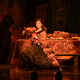 Plants: image 17 0f 17 thumb